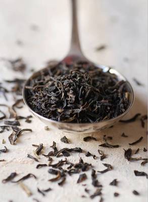百年古树:野生龙脊红茶,龙脊十三寨 寨寨茶香溢