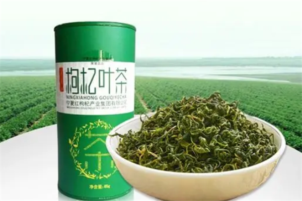 枸杞叶茶 枸杞树上的养生新宠