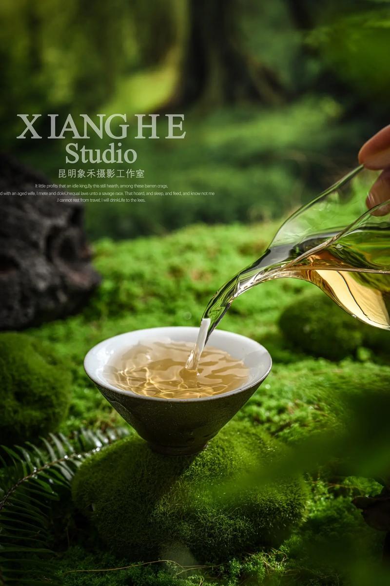 森系风茶叶电商主图拍摄技巧 捕捉自然的纯粹与诗意
